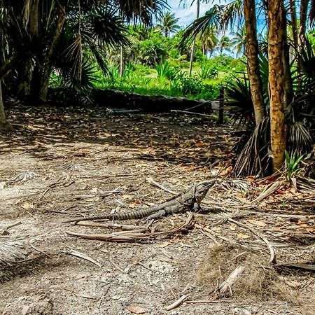 Aldea Zama Tulum Exterior foto