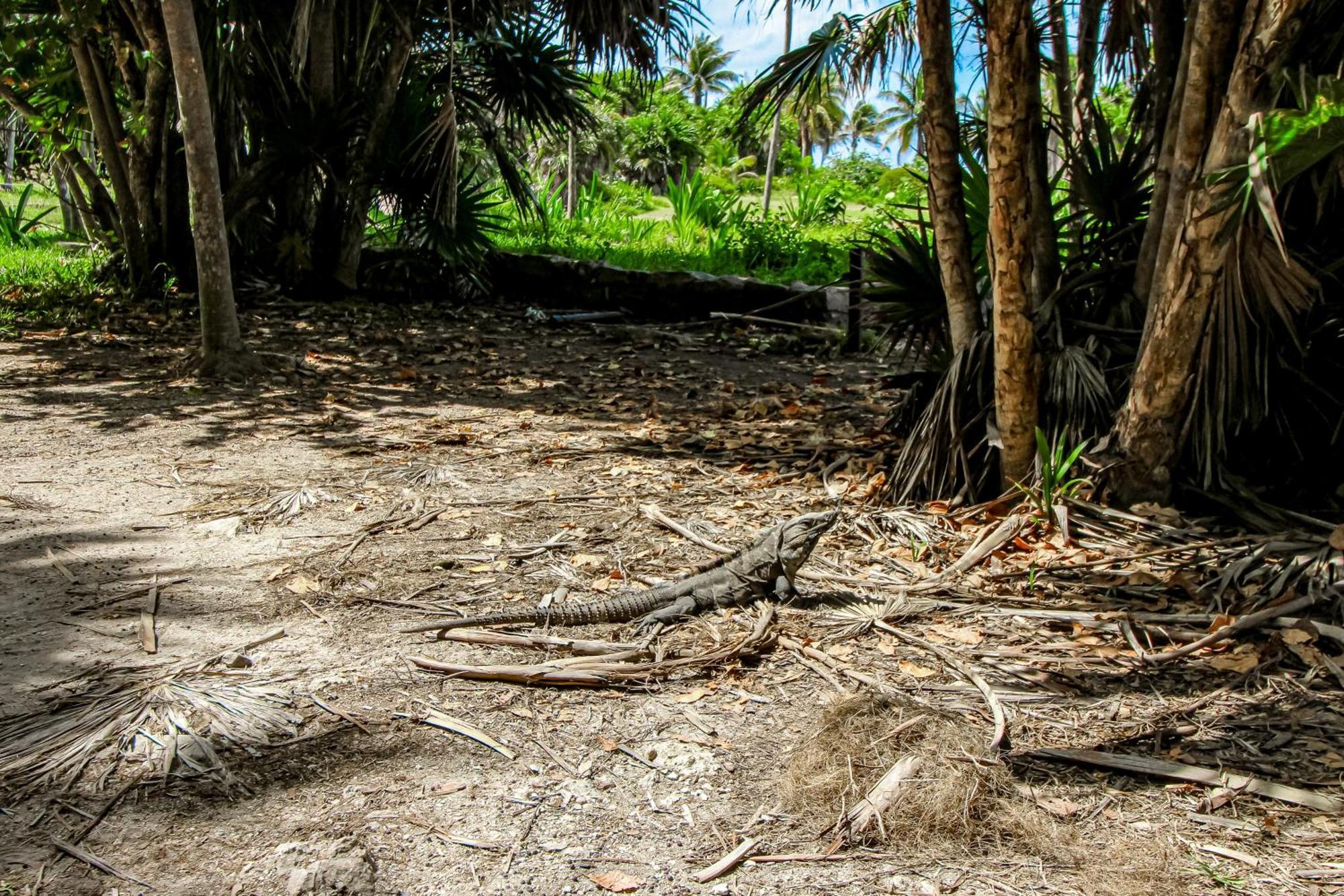 Aldea Zama Tulum Quarto foto