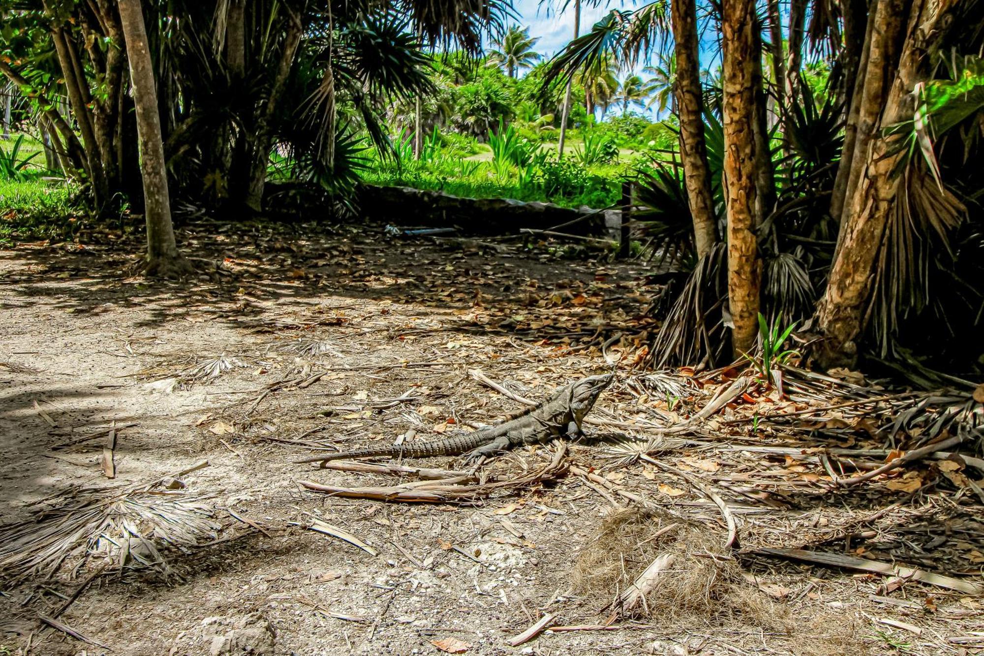 Aldea Zama Tulum Exterior foto